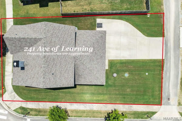 241 Avenue Of Learning .