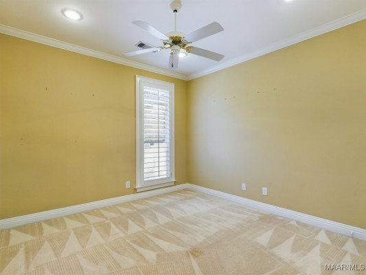 811 MOUNTAIN LAKE Court