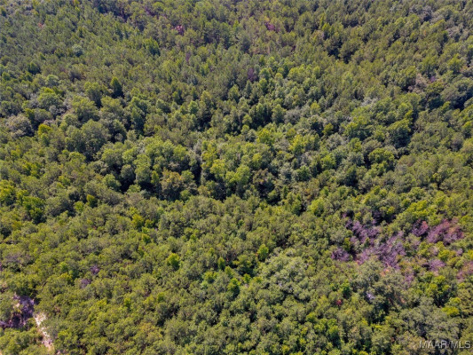 2164 COUNTY ROAD 350 .