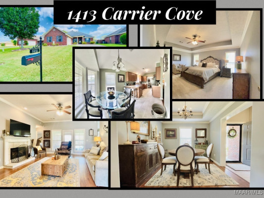 1413 Carrier Cove