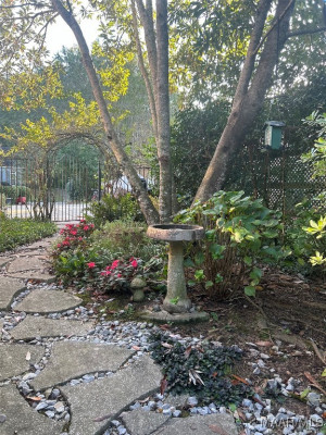 136 Creek Drive