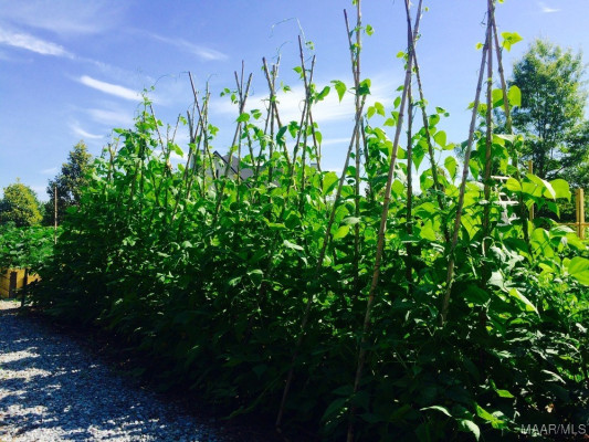 3669 Oak Grove Circle