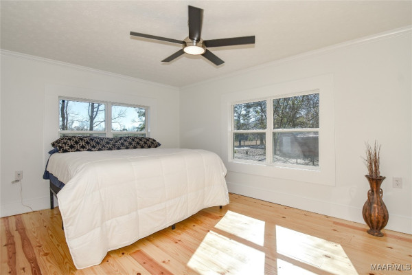 883 Abrams Road