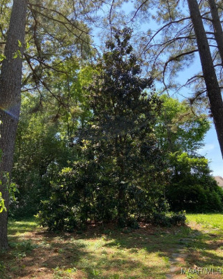3954 Croydon Road