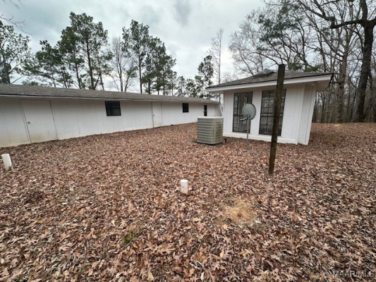 65 Jasmine Forest