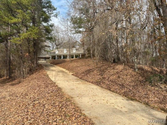65 Jasmine Forest