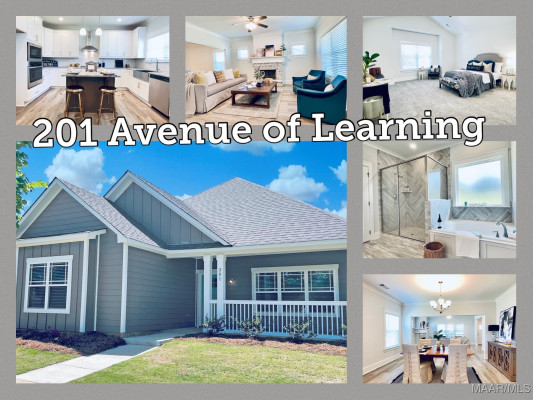 201 Avenue Of Learning .