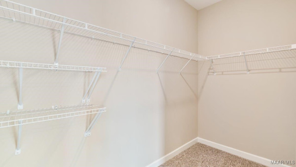 3707 Donigle Park