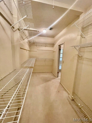 3113 Malone Drive