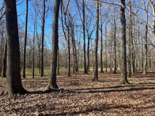 13922 OLD PIKE Road