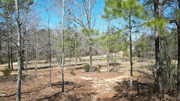 3022 County Road 155 .