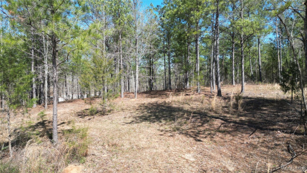 3022 County Road 155 .