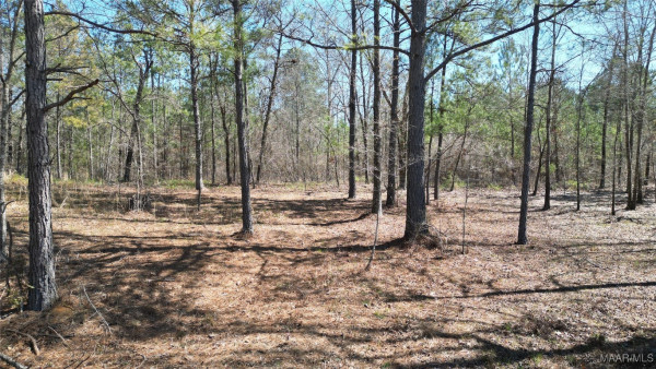 3022 County Road 155 .