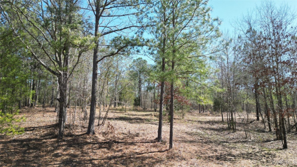 3022 County Road 155 .
