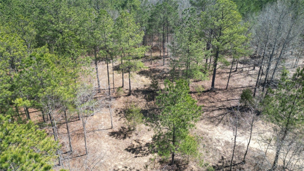 3022 County Road 155 .