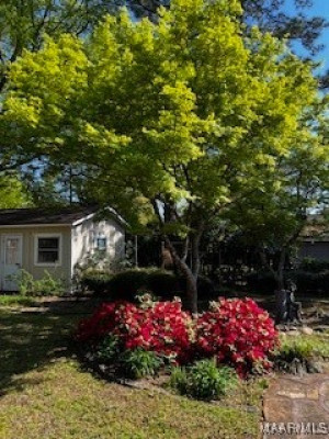505 Bellehurst Drive
