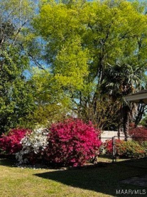 505 Bellehurst Drive
