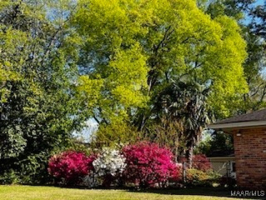 505 Bellehurst Drive
