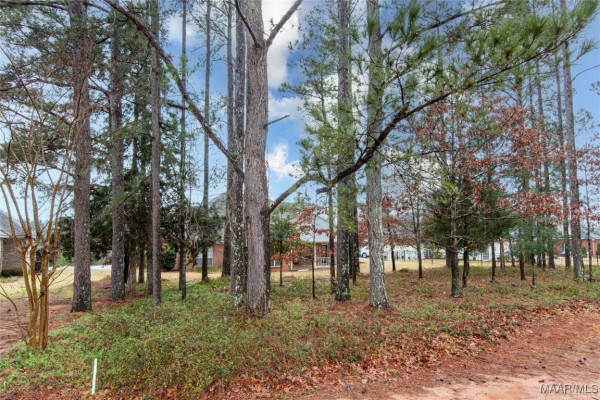 205 MOUNTAIN MEADOWS Lane