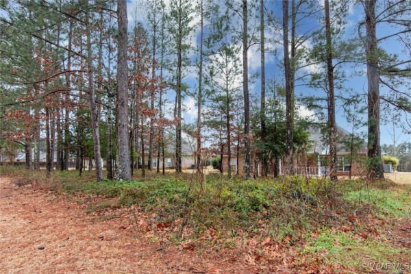 205 MOUNTAIN MEADOWS Lane