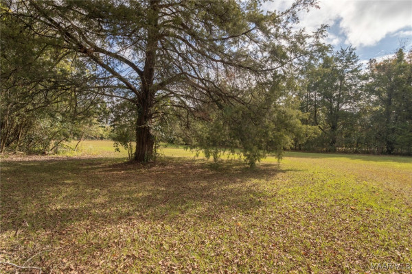 815 Lamar Road