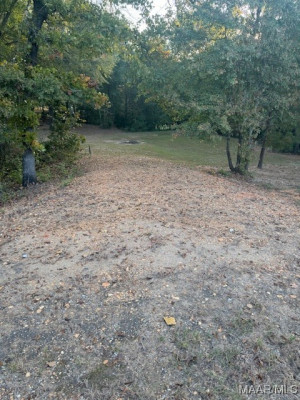 387 Blackjack Road