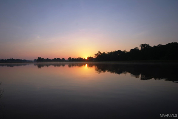 4549 Broadwick Street