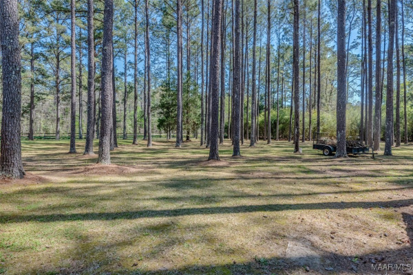 1001 Merrywood Drive