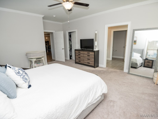 516 Pointer Place