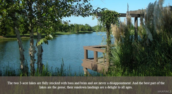 3420 OAK GROVE Circle