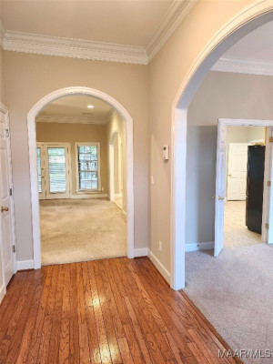 433 Allens Trail