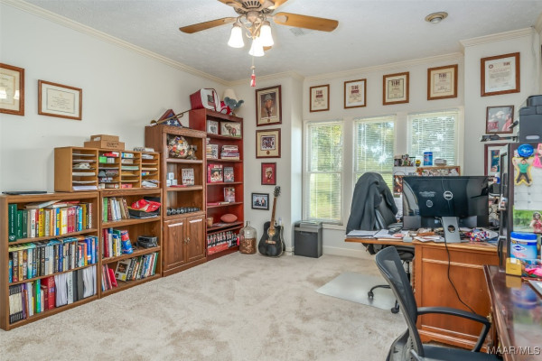 2294 Dark Corners Road