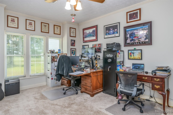 2294 Dark Corners Road