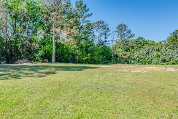 2294 Dark Corners Road