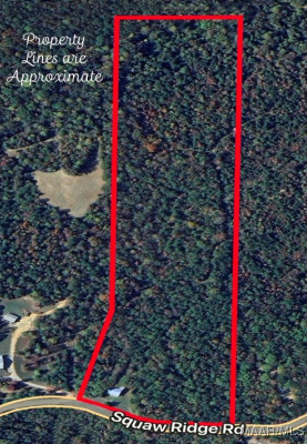 573 Squaw Ridge Road