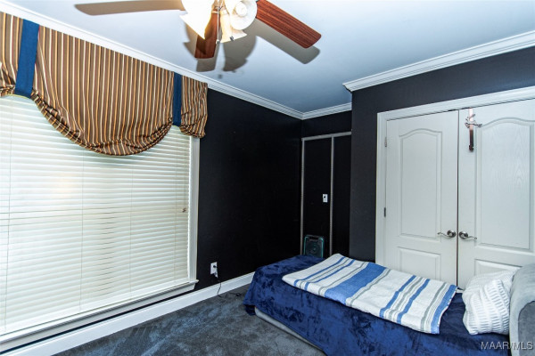 8311 Timber Trace Lane