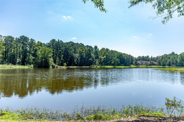 8311 Timber Trace Lane