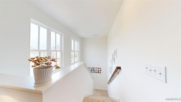 5036 Pike Loop