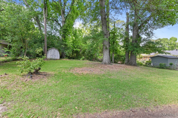 4113 Moye Drive