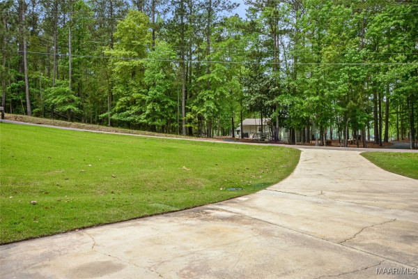 299 Fern Road