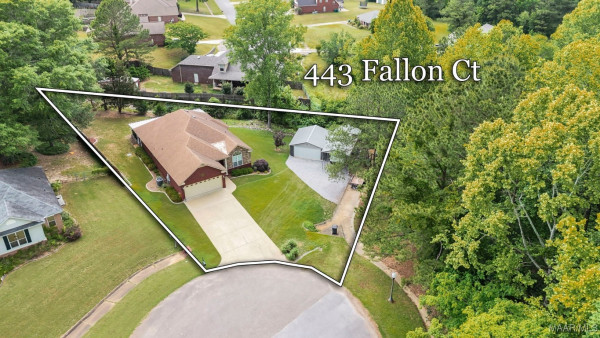 443 Fallon Court