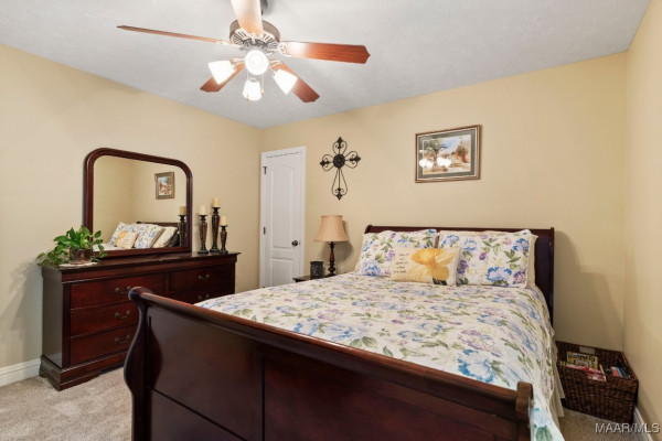 443 Fallon Court