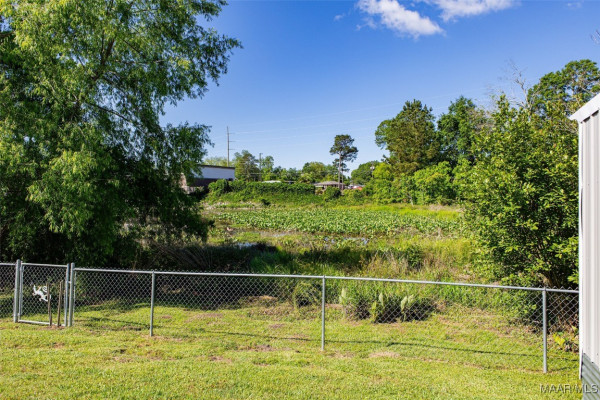 125 CATTAIL Curve