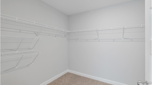 6000 Cunningham Trail