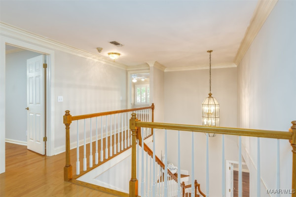 8180 LONGNEEDLE Place