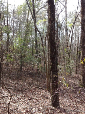 1373 County Road 39 Road