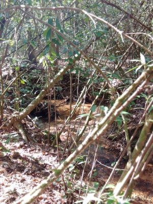 1373 County Road 39 Road