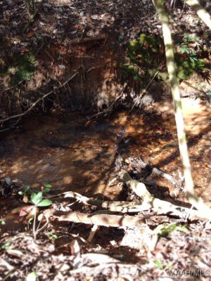 1373 County Road 39 Road