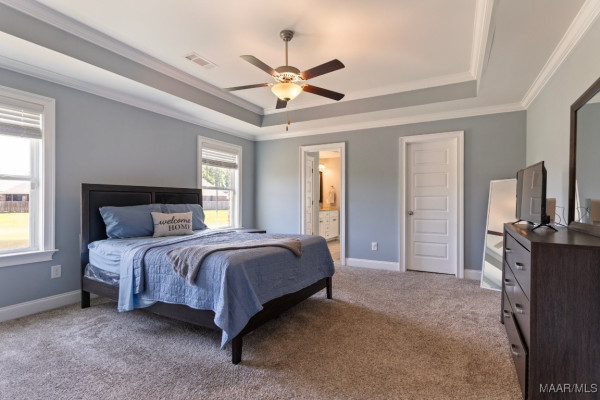 8411 Paula Trace