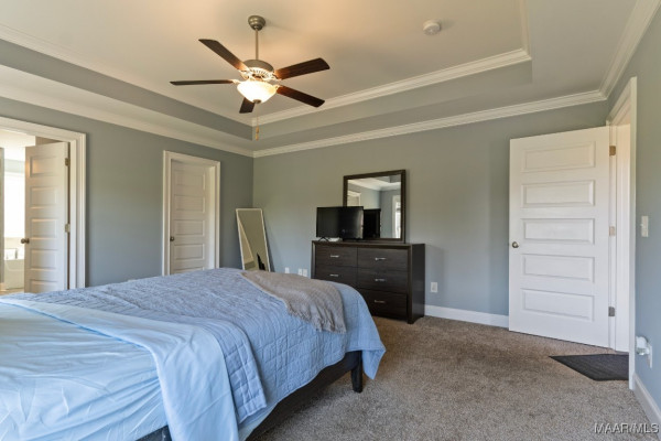 8411 Paula Trace
